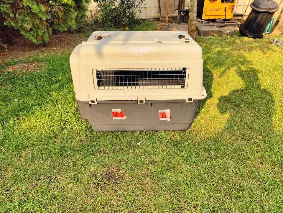 Pet Carrier Nomad